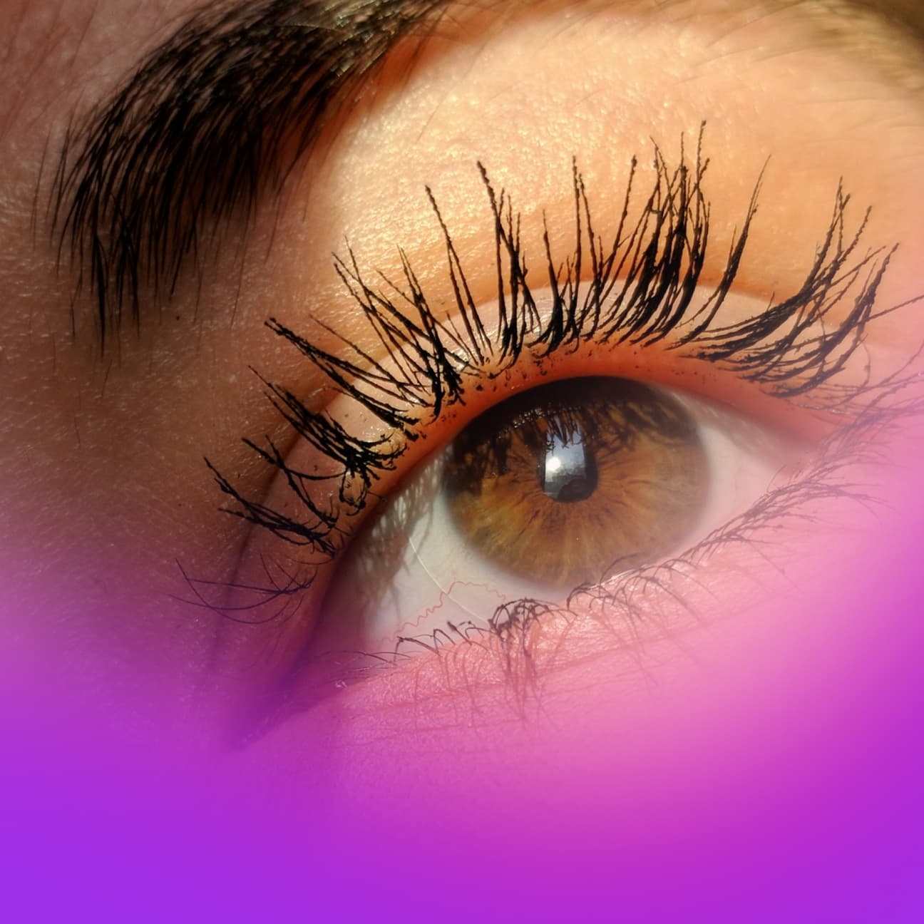 Safety First: Ensuring a Safe and Professional Experience for Aesthetic Models